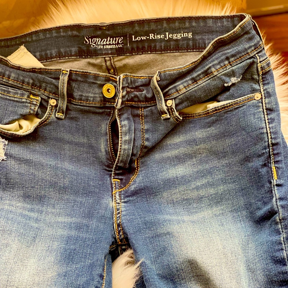 Signature Levi Strauss & co